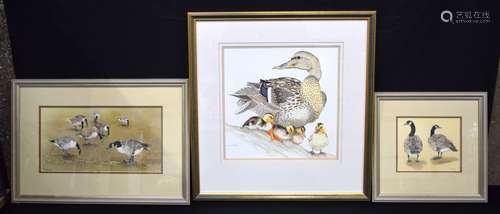 A framed watercolour of ducks by J Gethins together with two...