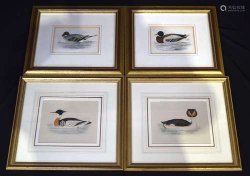 A collection of framed antique coloured engravings of Ducks ...