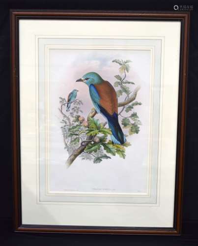 A large framed antique lithographic print of a Corcacias Gar...