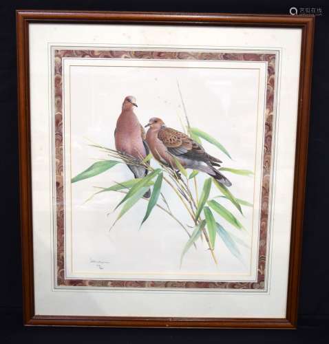 A large framed antique lithographic print of a pair of Doves...