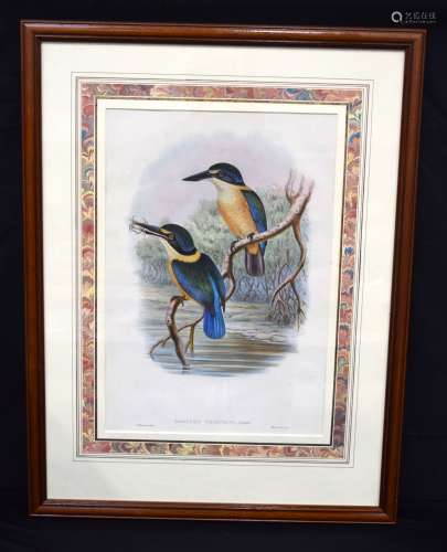 A large framed antique lithographic print of a pair of Halcy...