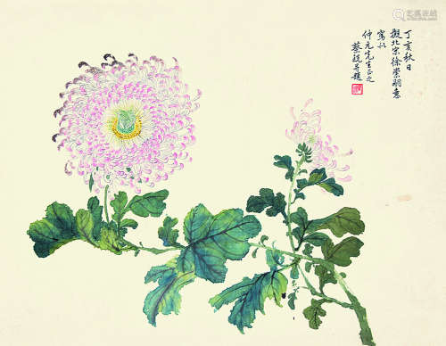 蔡铣 花卉 纸本单片