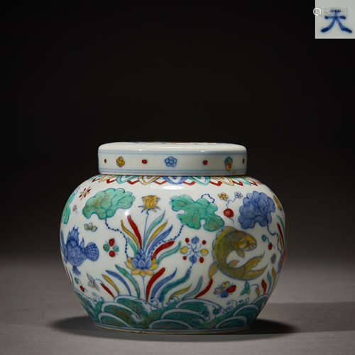 Ming Dynasty, Multicolored Flower Fish Pattern Jar