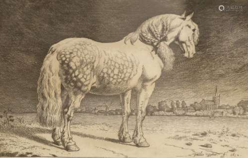Paulius Potter, etching, horse in a landscape, 1652, 15 x 23...