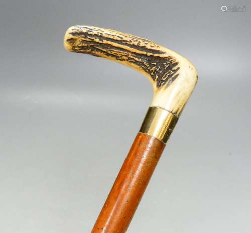 A Victorian 9ct gold mounted cane with antler handle84cm