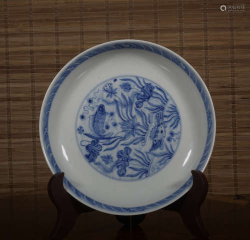A blue and white 'fish and waterseeds' dish