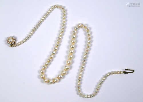 A single row of graduated pearls