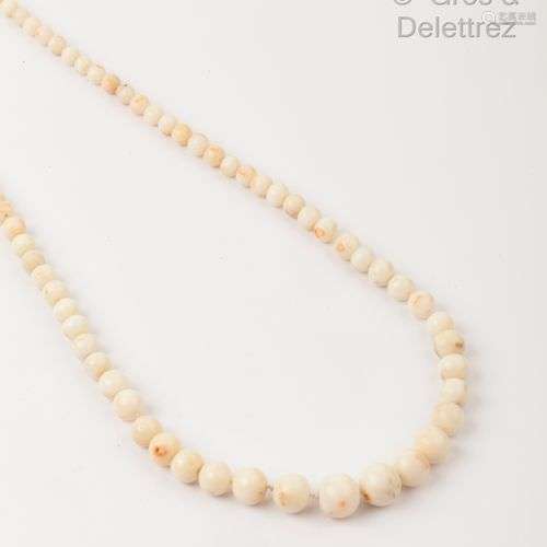 Collier de perles de corail blanc, le fermoir en or rose. Lo...