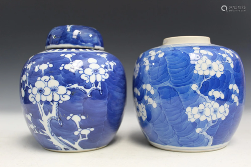 Two Chinese Blue and White Porcelain Jars