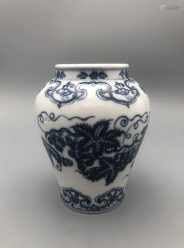 BLUE AND WHITE 'GRAPE' PORCELAIN JAR