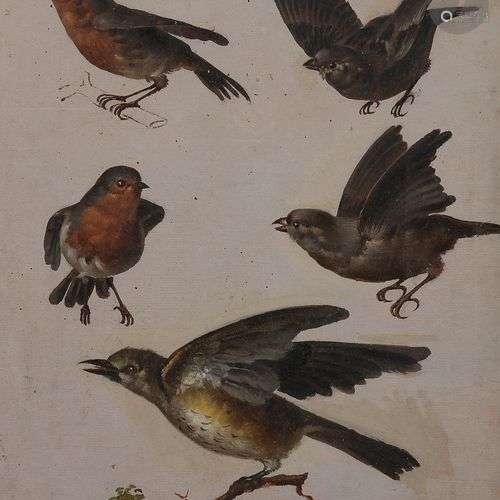 École FRANÇAISE du XVIIIe siècleCinq études d’oiseaux sur la...