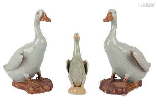 A PAIR OF CHINESE PORCELAIN MODELS OF DUCKS, 20TH CENTURY