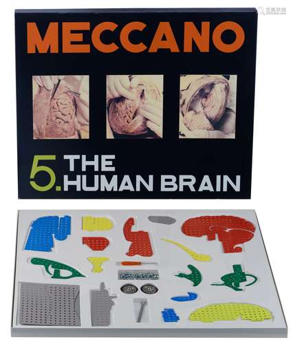 Patrick Van Caeckenbergh (1960), 'The human brain', multiple...