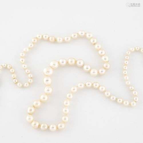 Collier de perles de culture blanches. Fermoir cl…