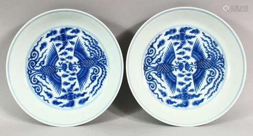 A GOOD PAIR OF CHINESE BLUE AND WHITE DISHES, painted with p...