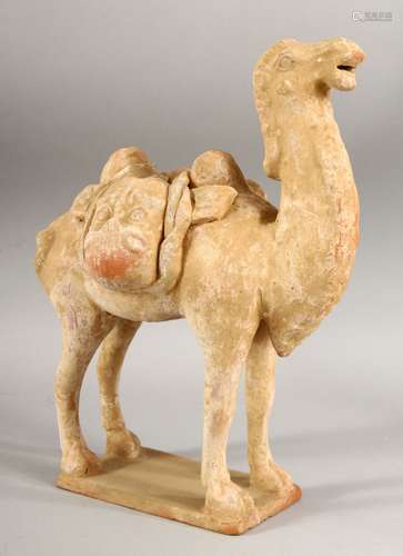 A CHINESE TANG STYLE TERRACOTTA MODEL OF A CAMEL, 30cm high,...