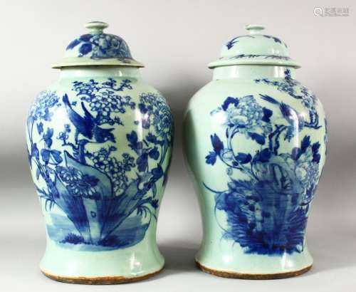 A LARGE PAIR OF CHINESE CELADON GLAZED POTTERY JARS AND COVE...