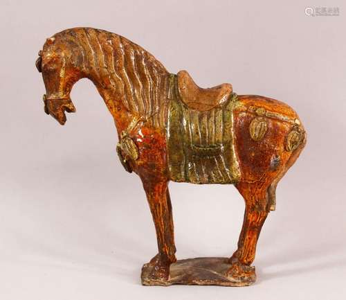 A CHINESE TANG STYLE SANCAI POTTERY MODEL OF A HORSE, 25cm