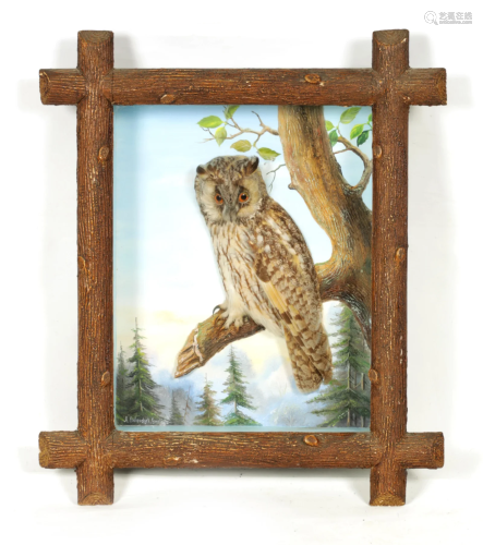 A RARE EARLY 20TH CENTURY TAXIDERMY OWL BY DOLESCHEL