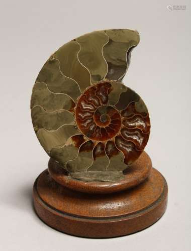 A POLISHED CROSS-SECTION OF AN AMMONITE FOSSIL on a stand. 3...
