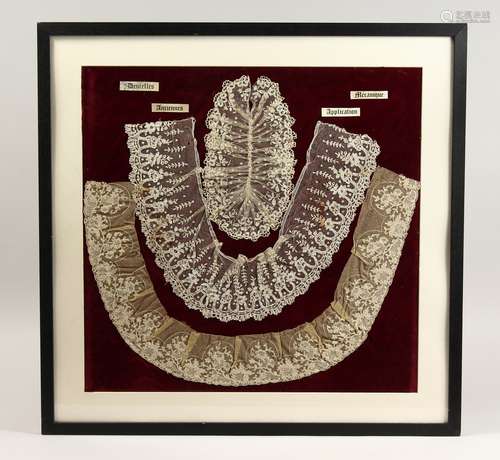 THREE PIECES OF FINE WHITE LACE COLLARS, framed and glazed 2...