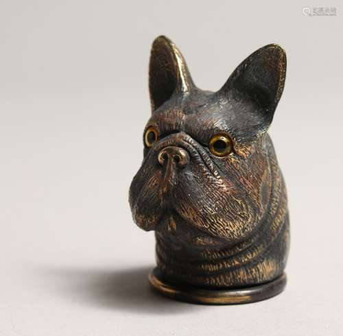 A BRASS NOVELTY FRENCH BULLDOG VESTA