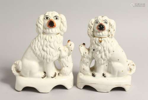 A RARE PAIR OF 19TH CENTURY STAFFORDSHIRE KING CHARLES SPANI...