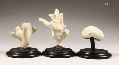 THREE SMALL CORAL SPECIMENS on wooden bases