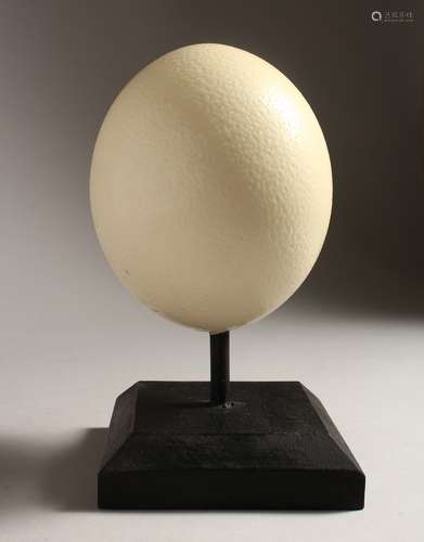 AN OSTRICH EGG 5.5ins on a wooden base