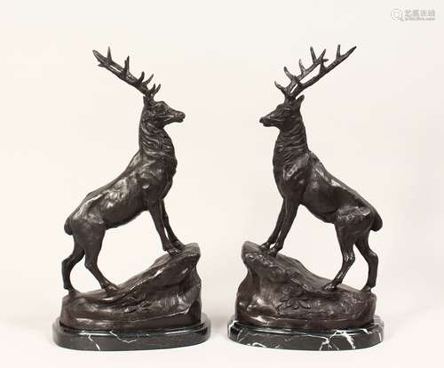 AFTER MOIGNER (1835 - 1894) A PAIR OF BRONZE STAGS, standing...