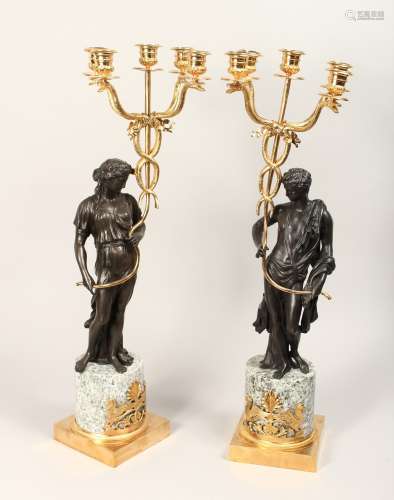 AN IMPRESSIVE PAIR OF CLASSICAL BRONZE, GILT BRONZE AND MARB...