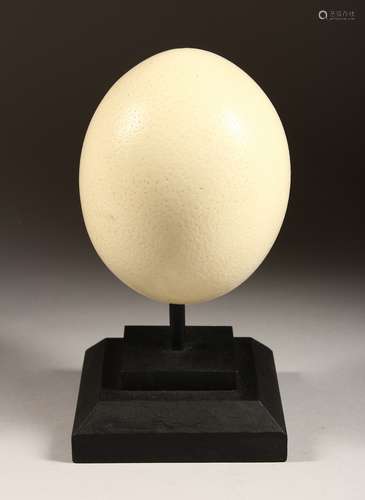 AN OSTRICH EGG on a stand 5.5ins high.