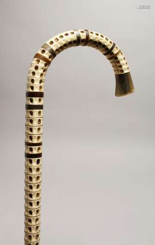 A GOOD VERTEBRAE WALKING STICK 35ins