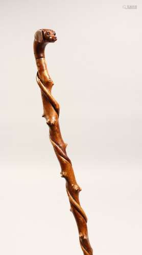 A SMALL DOG'S HEAD WALKING STICK 26ins long.