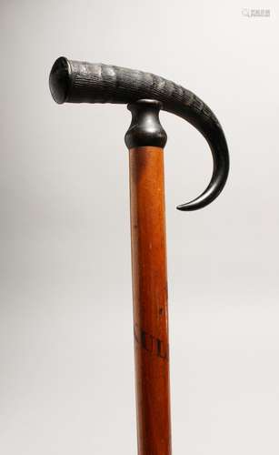 A 19TH CENTURY ALPINE HORN WALKING STICK 35ins long