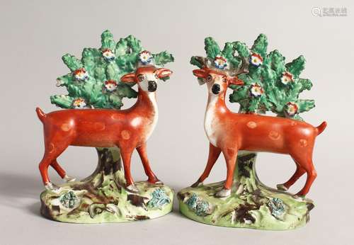 A PAIR OF STAFFORDSHIRE BOCAGE GROUPS OF STANDING DEER with ...