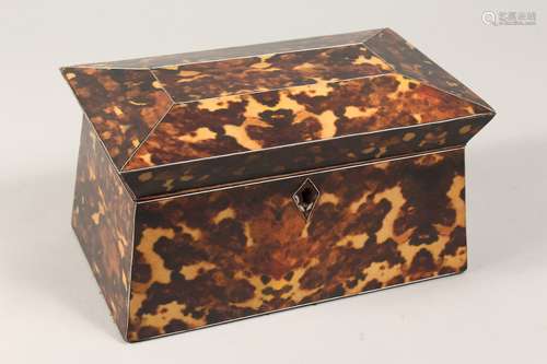 A FAUX TORTOISESHELL TWO DIVISION SARCOPHAGUS SHAPED TEA CAD...