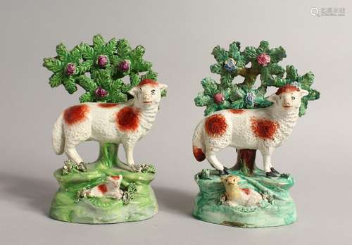 A PAIR OF STAFFORDSHIRE BOCAGE GROUP OF SHEEP with lambs, wi...