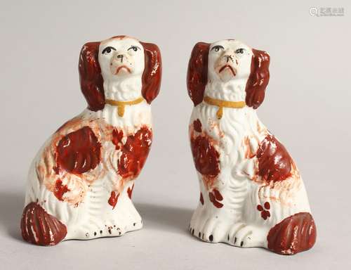 A SMALL PAIR OF STAFFORDSHIRE KING CHARLES SPANIELS 3.75ins ...