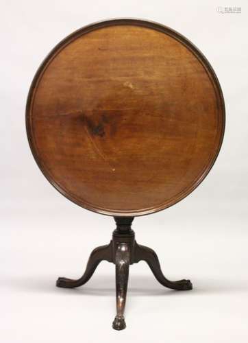 A GEORGIAN MAHOGANY CIRCULAR TRAY TOP TRIPOD TABLE with bird...