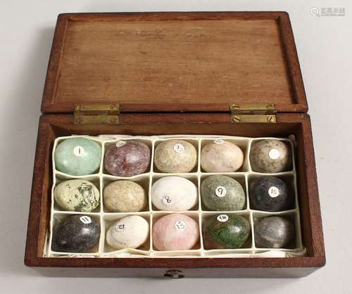 A COLLECTION OF SPECIMEN EGGS in a mahogany case