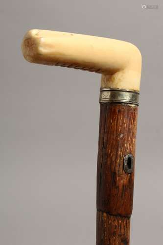 A GOOD 19TH CENTURY BONE HANDLED WALKING STICK 35ins long