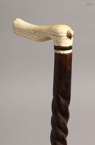 A GOOD 19TH CENTURY BONE HANDLE WALKING STICK with twiststem...