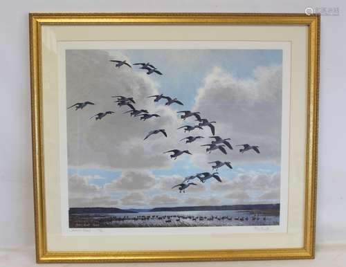 Canada Geese landing in a lake, a modern colour print after ...