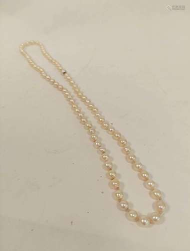 Cultured pearl necklace, equal sized, on silver hook snap.