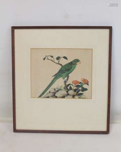 Chinese watercolour on pith paper depicting a parakeet on a ...