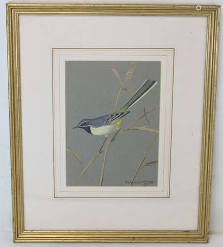 RALSTON GUDGEON (SCOTTISH 1910-1984). Grey Wagtail. Watercol...