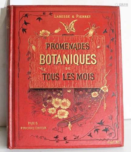 [BOTANIQUE] - LABESSE (E.-D.), PIERRET (H). Promenades botan...