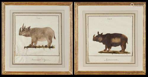 19th century school Rhinos Pair of drawings in pen, ink, wat...