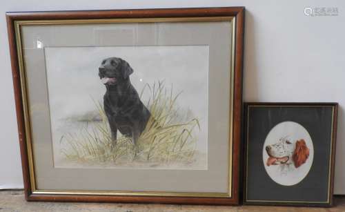 TWO ORIGINAL WATER COLOURS OF BLACK LABRADOR AND SETTER, the...